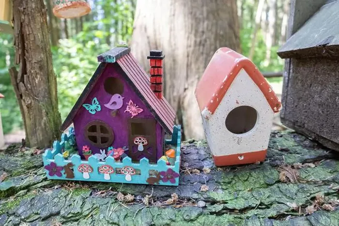 Framed Print : Collection of birdhouses made by children and placed on fallen trees in the forest