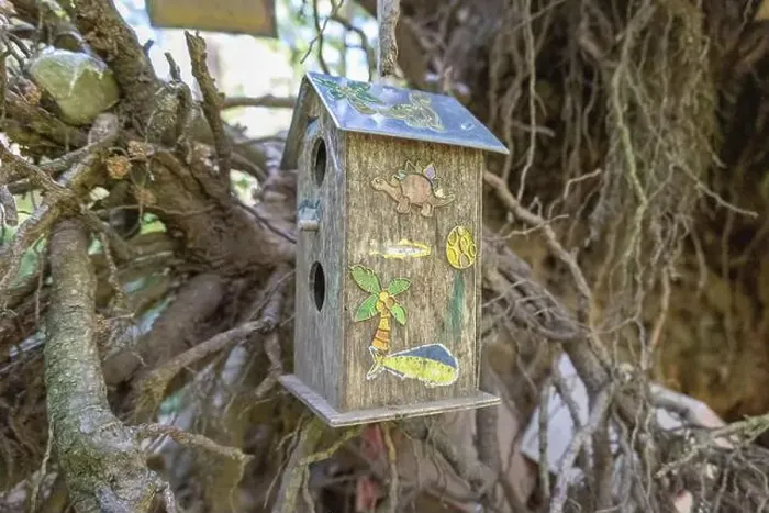 Framed Print : Collection of birdhouses made by children and placed on fallen trees in the forest Framed Print : Collection of birdhouses made by children and placed on fallen trees in the forest