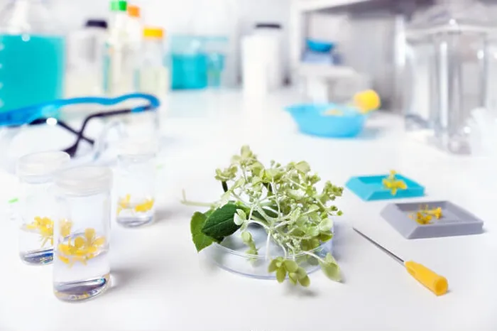 Framed Print : Collection of plant samples for analysis in scientific laboratory Framed Print : Collection of plant samples for analysis in scientific laboratory