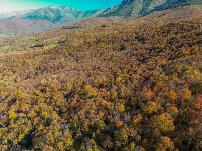 Framed Print : the color of the autumn view with a drone with the background of the mountains Framed Print : the color of the autumn view with a drone with the background of the mountains