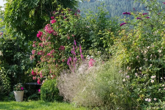 Framed Print : Color outdoor nature image of a garden with a bench Framed Print : Color outdoor nature image of a garden with a bench