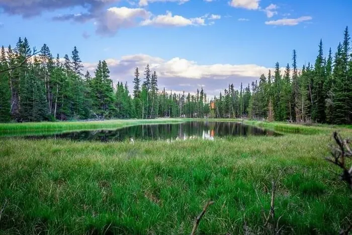Framed Print : Colorado summer landscapes and textures Framed Print : Colorado summer landscapes and textures
