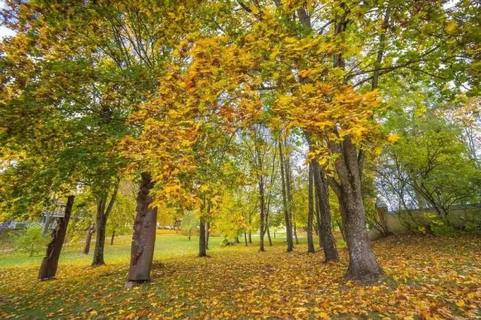 Framed Print : Colorful autumn landscape panorama at Birstonas resort