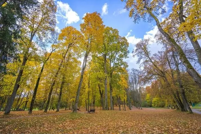 Framed Print : Colorful autumn landscape panorama at Birstonas resort