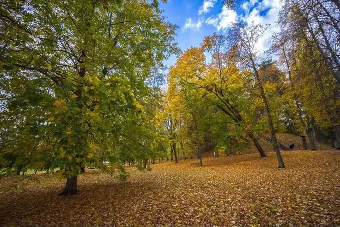 Framed Print : Colorful autumn landscape panorama at Birstonas resort