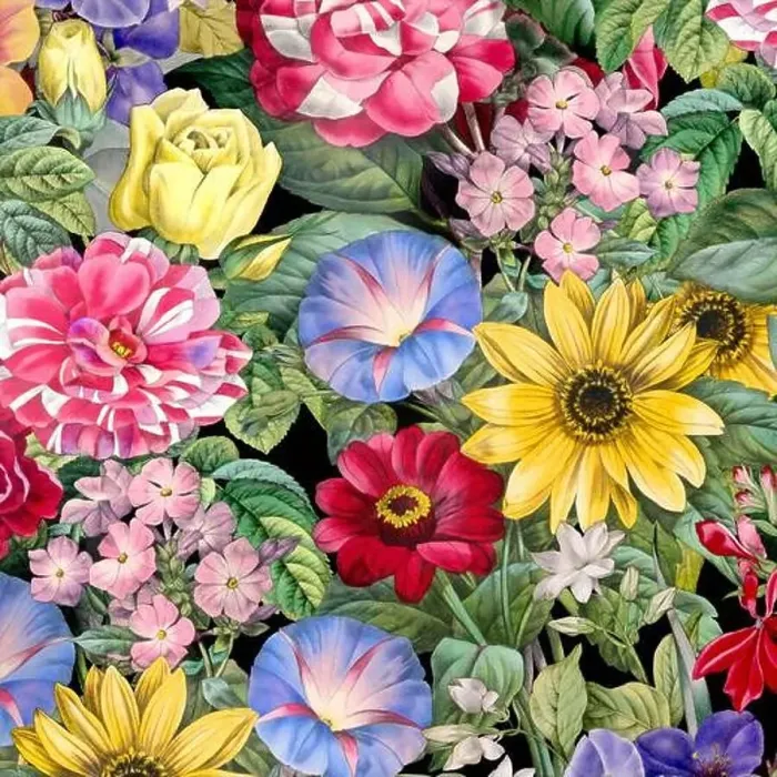 Framed Print : Colorful Blooming Flowers. Floral Design Framed Print : Colorful Blooming Flowers. Floral Design