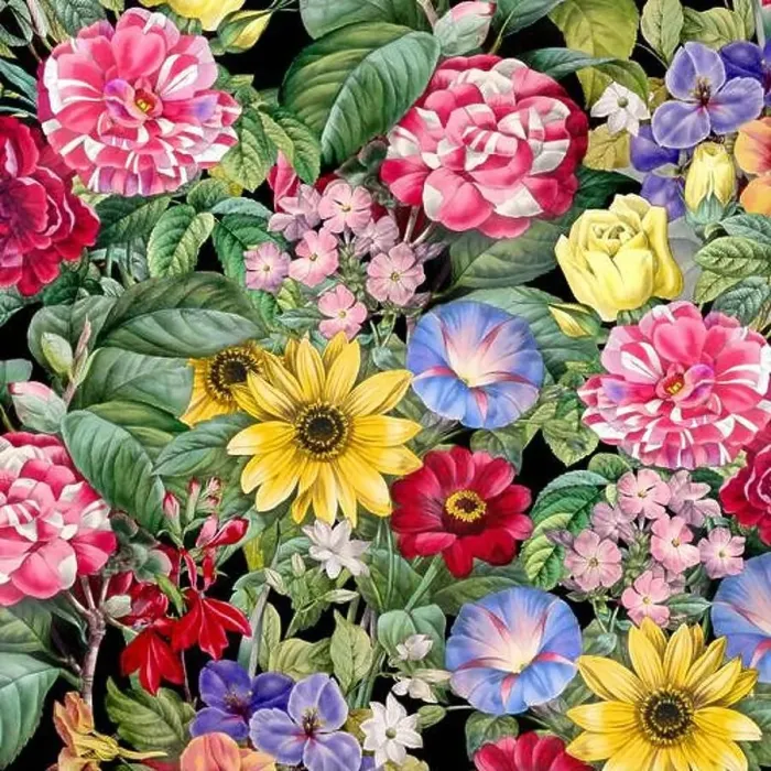 Framed Print : Colorful Blooming Flowers. Floral Design Framed Print : Colorful Blooming Flowers. Floral Design
