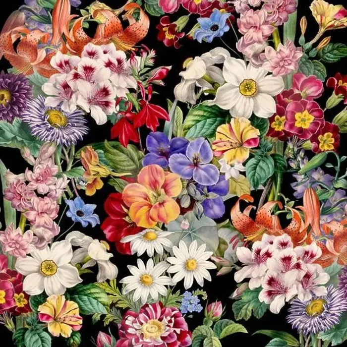 Framed Print : Colorful Blooming Flowers. Floral Design Framed Print : Colorful Blooming Flowers. Floral Design