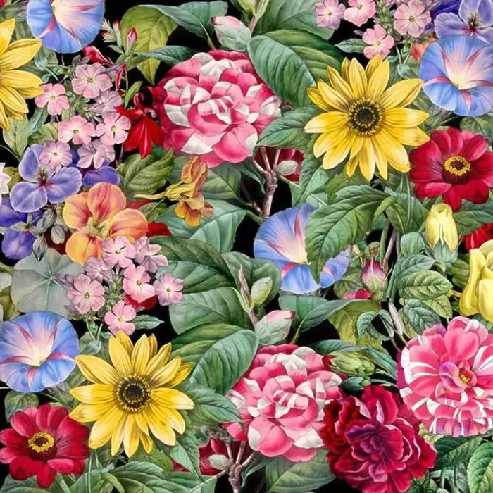 Framed Print : Colorful Blooming Flowers. Floral Design Framed Print : Colorful Blooming Flowers. Floral Design