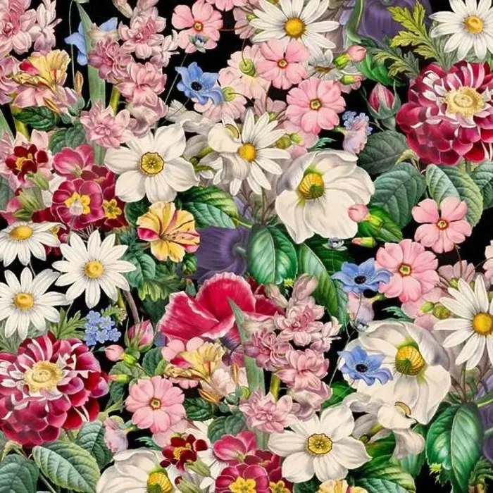 Framed Print : Colorful Blooming Flowers. Floral Design Framed Print : Colorful Blooming Flowers. Floral Design