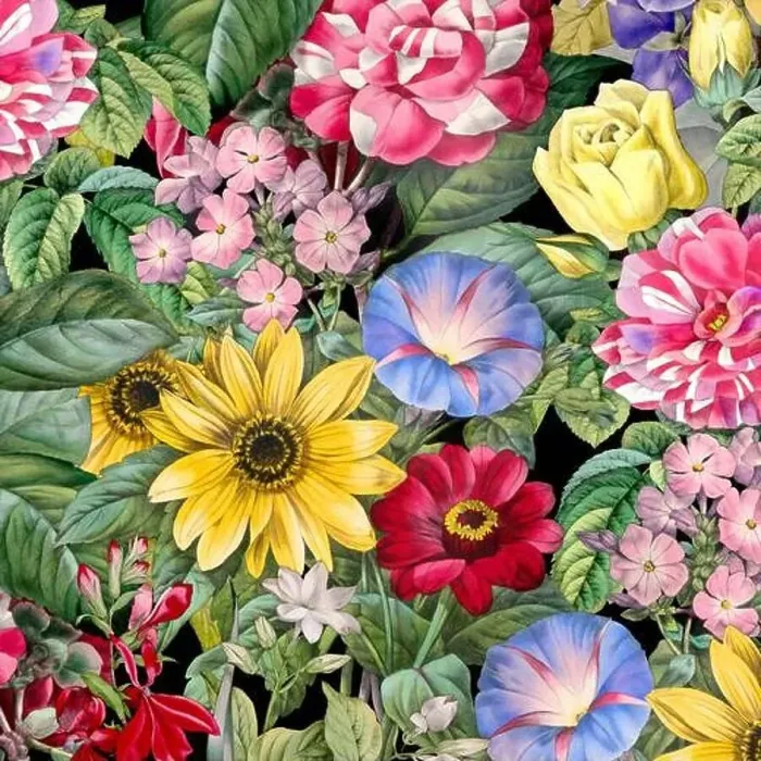 Framed Print : Colorful Blooming Flowers. Floral Design Framed Print : Colorful Blooming Flowers. Floral Design