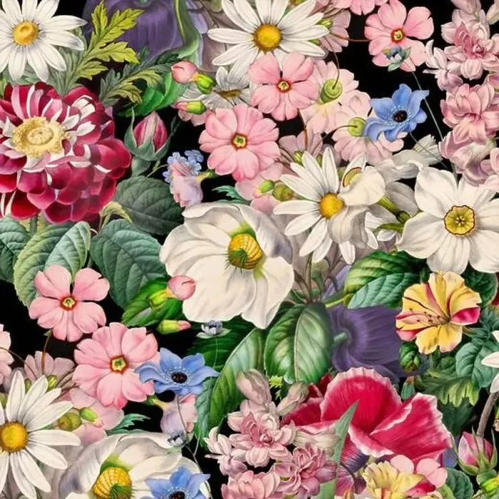 Framed Print : Colorful Blooming Flowers. Floral Design Framed Print : Colorful Blooming Flowers. Floral Design