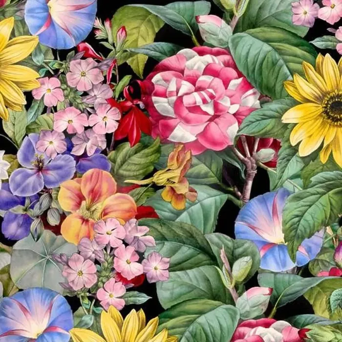 Framed Print : Colorful Blooming Flowers. Floral Design Framed Print : Colorful Blooming Flowers. Floral Design