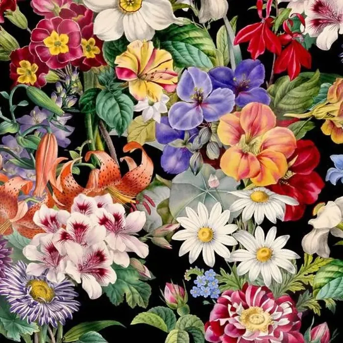 Framed Print : Colorful Blooming Flowers. Floral Design Framed Print : Colorful Blooming Flowers. Floral Design