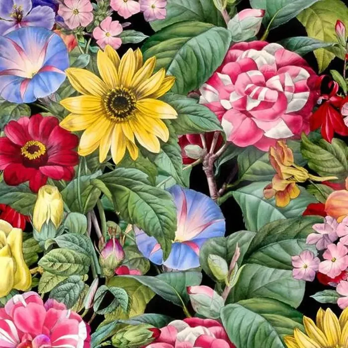 Framed Print : Colorful Blooming Flowers. Floral Design Framed Print : Colorful Blooming Flowers. Floral Design