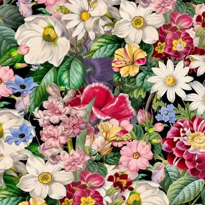 Framed Print : Colorful Blooming Flowers. Floral Design Framed Print : Colorful Blooming Flowers. Floral Design