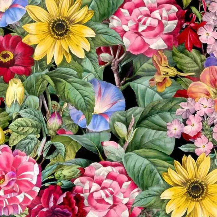 Framed Print : Colorful Blooming Flowers. Floral Design Framed Print : Colorful Blooming Flowers. Floral Design
