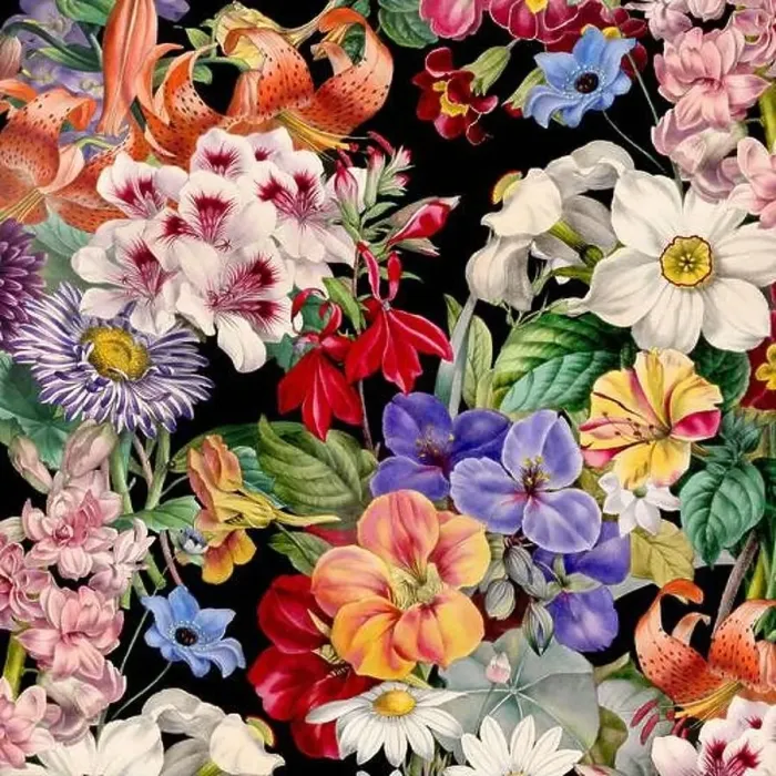 Framed Print : Colorful Blooming Flowers. Floral Design Framed Print : Colorful Blooming Flowers. Floral Design