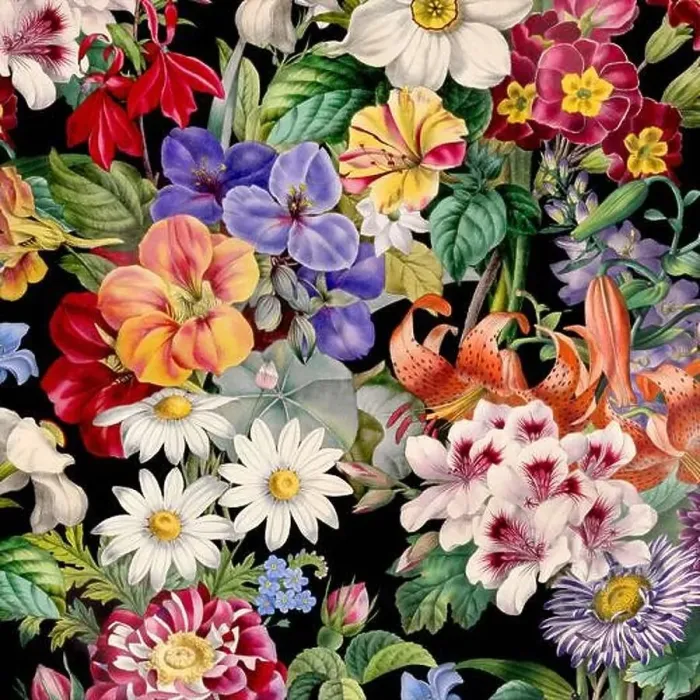 Framed Print : Colorful Blooming Flowers. Floral Design Framed Print : Colorful Blooming Flowers. Floral Design