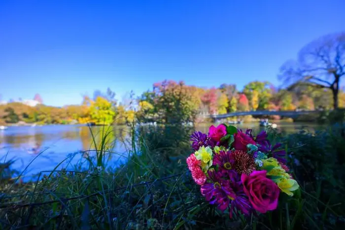 Framed Print : a colorful bouquet by Bow bridge Framed Print : a colorful bouquet by Bow bridge