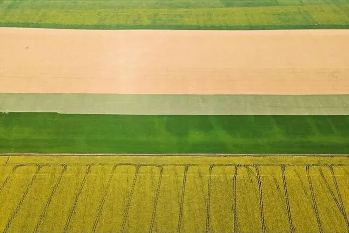 Framed Print : Colorful farm fields from above. Sunflower, wheat, rye and corn. Agricultural background Framed Print : Colorful farm fields from above. Sunflower, wheat, rye and corn. Agricultural background