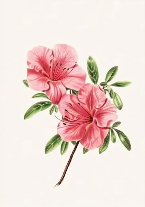 Framed Print : Colorful Flowers: vintage-style flower illustration on a light beige background Framed Print : Colorful Flowers: vintage-style flower illustration on a light beige background