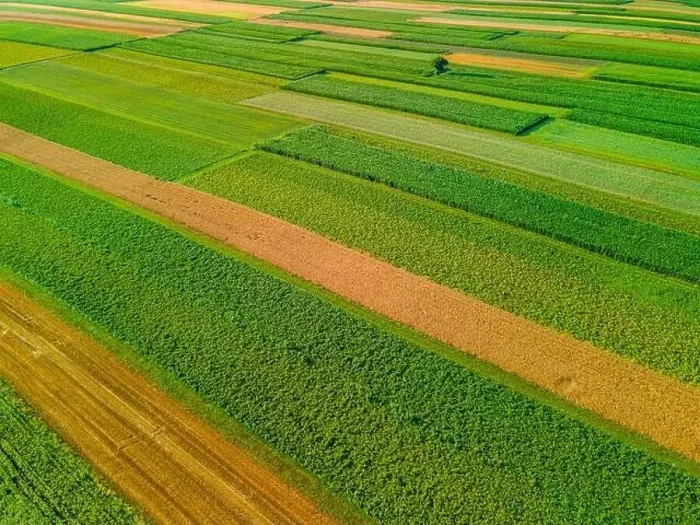 Framed Print : Colorful Plants in Agriculture Fields Drone View Framed Print : Colorful Plants in Agriculture Fields Drone View