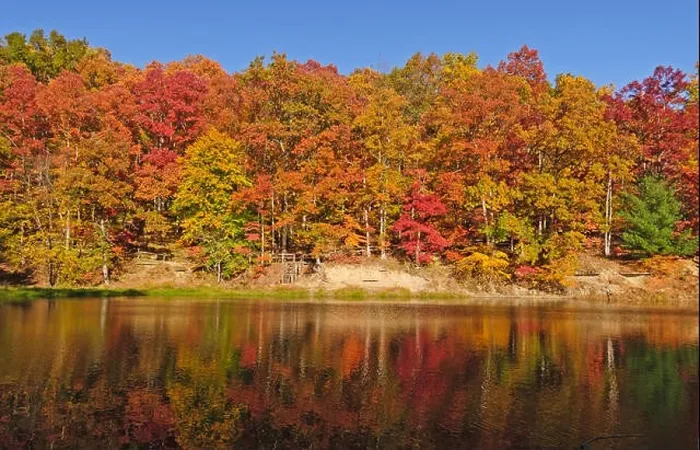 Framed Print : Colorful reflections on Strahl Lake in Brown County State Park, Indiana Framed Print : Colorful reflections on Strahl Lake in Brown County State Park, Indiana