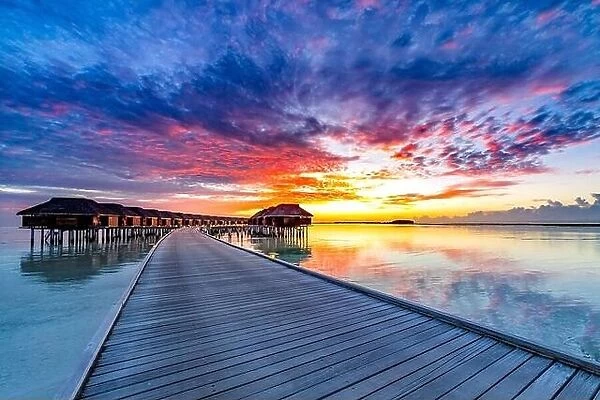 Colorful sunset over ocean on Maldives. Maldives island sunset. Water bungalows resort at islands beach. Indian Ocean, Maldives. Amazing travel scene