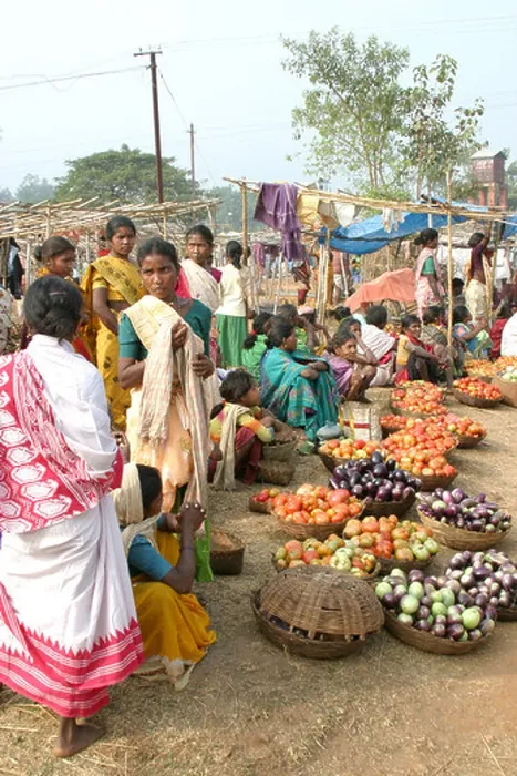 Framed Print : Colourful weekly Dongria Kondh market.Orissa, India Framed Print : Colourful weekly Dongria Kondh market.Orissa, India