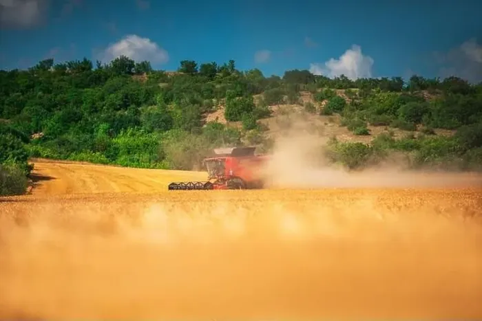 Framed Print : Combine harvester agriculture machine harvesting golden ripe wheat field Framed Print : Combine harvester agriculture machine harvesting golden ripe wheat field