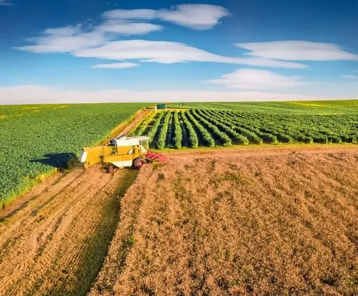 Framed Print : Combine harvester on the field of wheat Framed Print : Combine harvester on the field of wheat
