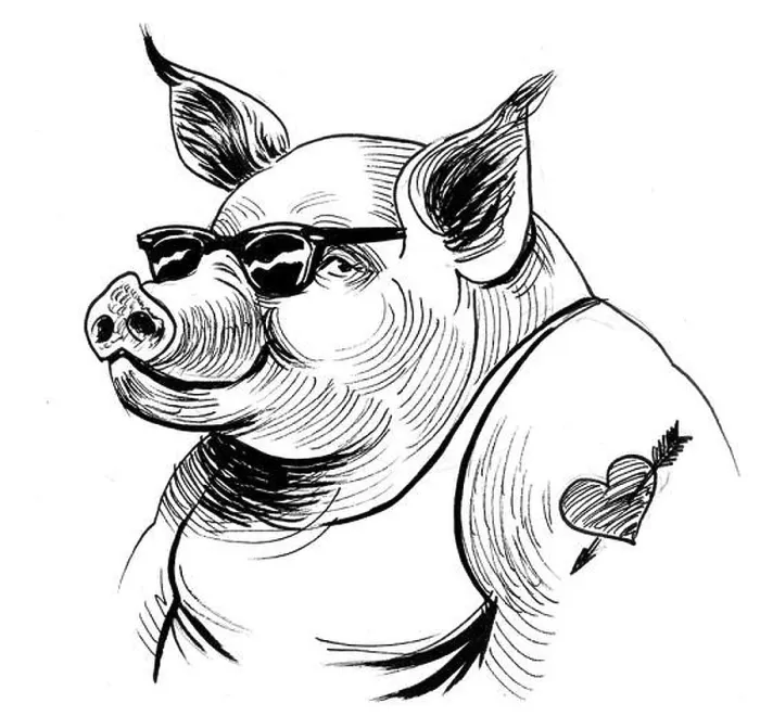 Framed Print : Cool pig in sunglasses and tattoo. Ink black and white illustration Framed Print : Cool pig in sunglasses and tattoo. Ink black and white illustration