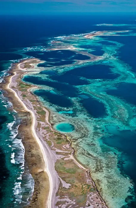 Framed Print : Coral reef, Abrolhos Islands, Western Australia Framed Print : Coral reef, Abrolhos Islands, Western Australia