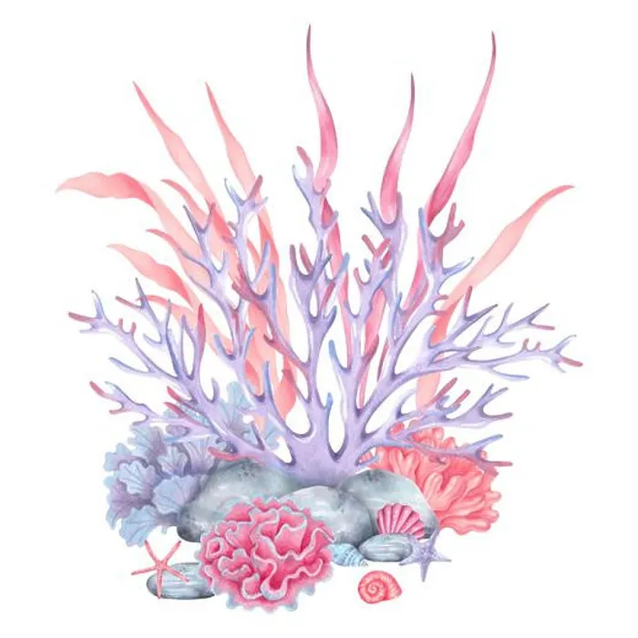 Framed Print : Coral reef with shells, rocks, starfish Framed Print : Coral reef with shells, rocks, starfish