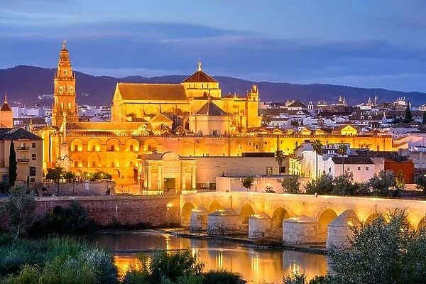 Cordoba, Spain old town skyline at the Mosque-Cathedral at night