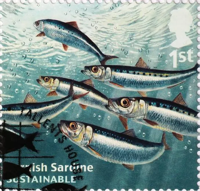 Framed Print : Cornish sardines on british postage stamp