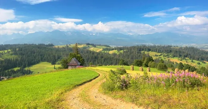 Framed Print : Country road, spring landscape, Podhale region, Poland Framed Print : Country road, spring landscape, Podhale region, Poland