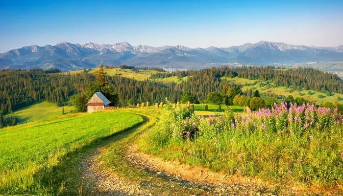 Framed Print : Country road, spring landscape at Podhale region, Poland Framed Print : Country road, spring landscape at Podhale region, Poland