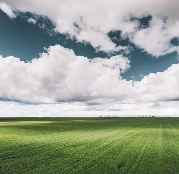 Framed Print : Countryside Rural Field Landscape With Young Wheat Sprouts In Spring Summer Cloudy Day. Agricultural Field. Young Wheat Shoots. Aerial View Framed Print : Countryside Rural Field Landscape With Young Wheat Sprouts In Spring Summer Cloudy Day. Agricultural Field. Young Wheat Shoots. Aerial View