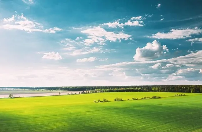 Framed Print : Countryside Rural Green Field Landscape With Young Wheat Sprouts In Spring Summer Cloudy Day. Agricultural Field. Young Wheat Shoots. Aerial View Framed Print : Countryside Rural Green Field Landscape With Young Wheat Sprouts In Spring Summer Cloudy Day. Agricultural Field. Young Wheat Shoots. Aerial View