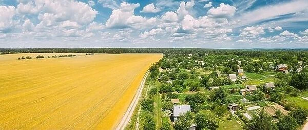 Countryside Rural Landscape With Small Village, Gardens And Yellow Wheat Field In Spring Summer Day. Elevated View. Panorama