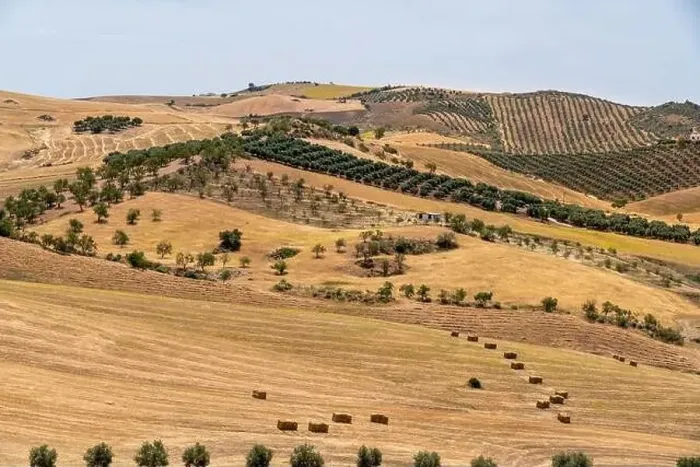Framed Print : Countryside of Spain. Hills with agriculture Framed Print : Countryside of Spain. Hills with agriculture