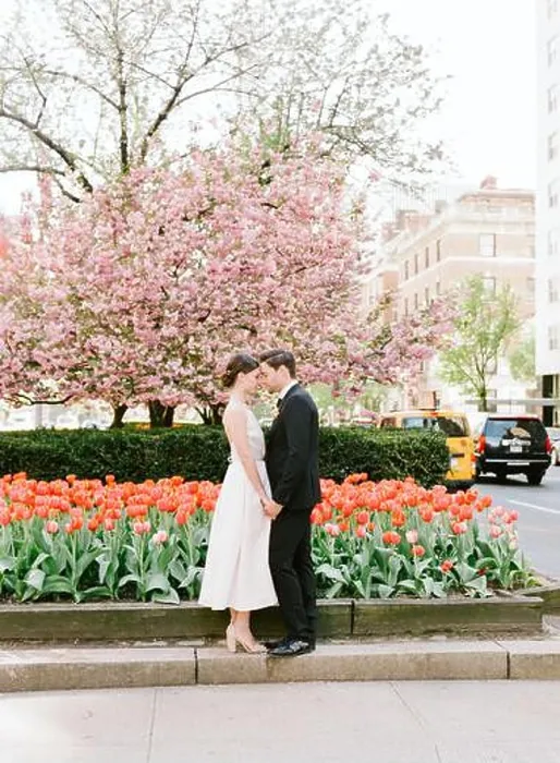 Framed Print : A couple enjoys a tender moment together amidst colorful tulips and blooming cherry trees in a lively spring park Framed Print : A couple enjoys a tender moment together amidst colorful tulips and blooming cherry trees in a lively spring park