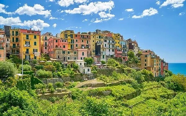 Croniglia, Riviera de Levanto, Cinque Terre, Liguria, Italy