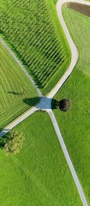 Framed Print : At the crossroads. Vertical panorama. Road, field, tree. Aerial view Framed Print : At the crossroads. Vertical panorama. Road, field, tree. Aerial view