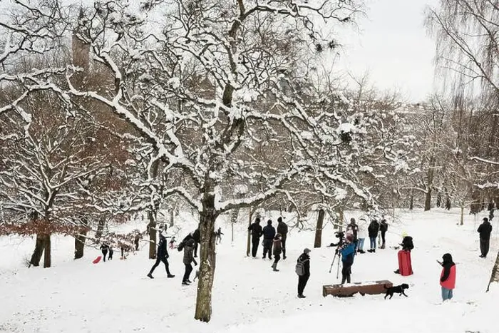 Framed Print : Crowds in Kelvingrove Park in the snow. February 9th 2021. (Glasgow, west-end) Framed Print : Crowds in Kelvingrove Park in the snow. February 9th 2021. (Glasgow, west-end)