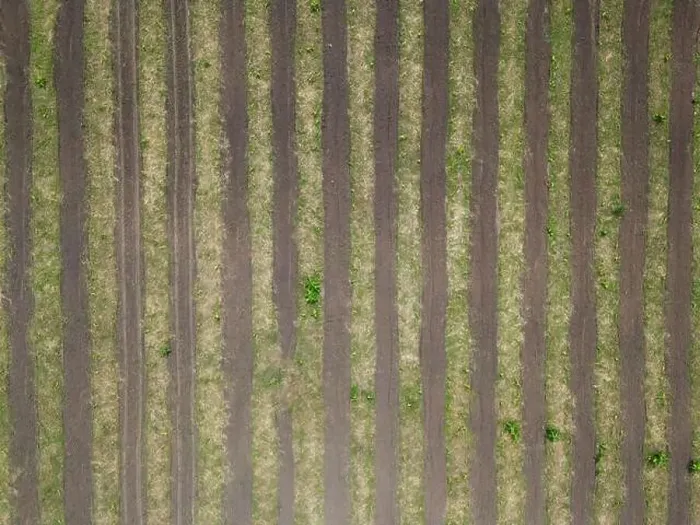Framed Print : Cultivated dry agricultural field lines road aerial drone top view texture background Framed Print : Cultivated dry agricultural field lines road aerial drone top view texture background
