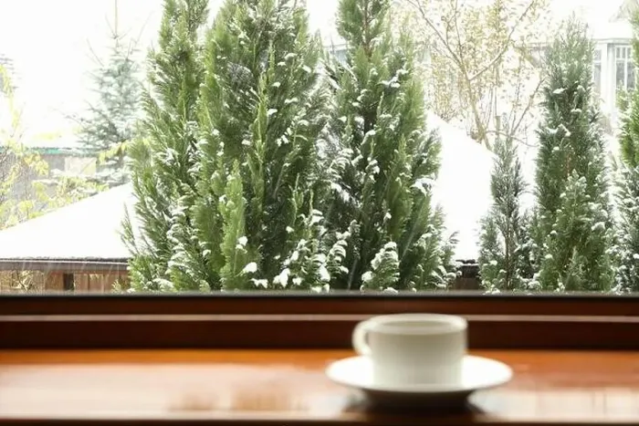 Framed Print : Cup of tea stands on wooden windowsill Framed Print : Cup of tea stands on wooden windowsill