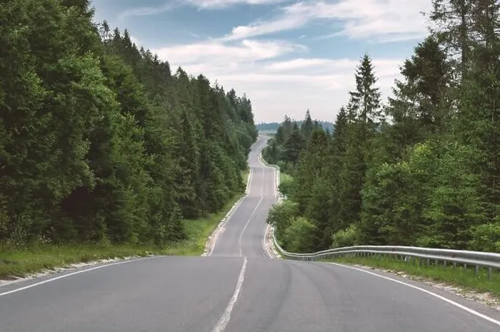 Framed Print : Curvy mountain road serpentine in green summer forest. Ukraine, Carpathian mountains. Landscape photography